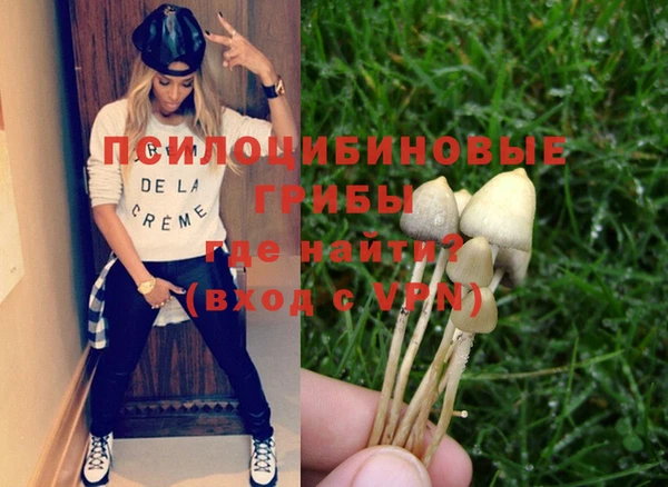 бошки Каменск-Шахтинский