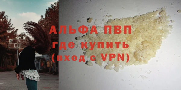 дурь Каменка