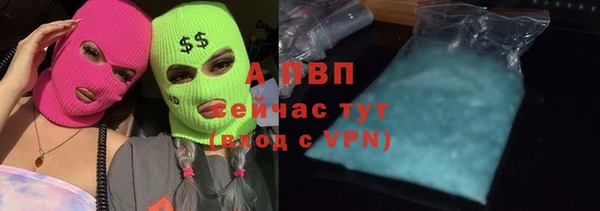 индика Карталы