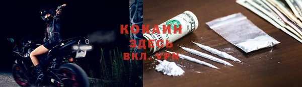 прущие грибы Карпинск