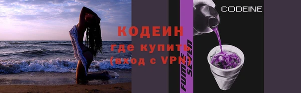 прущие грибы Карпинск