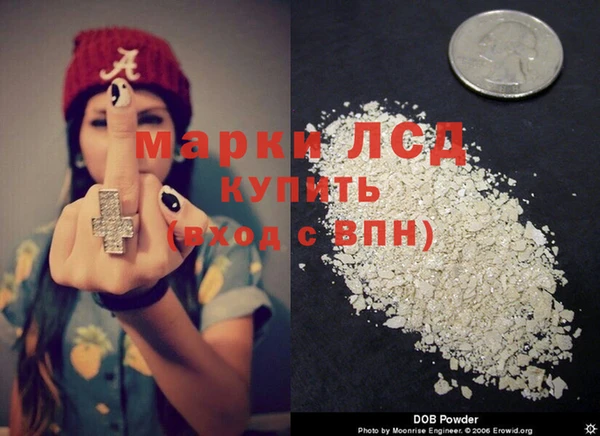 дурь Каменка