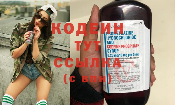 индика Карталы