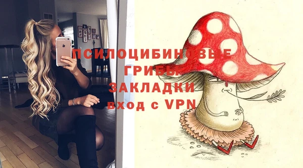 гашик Инсар