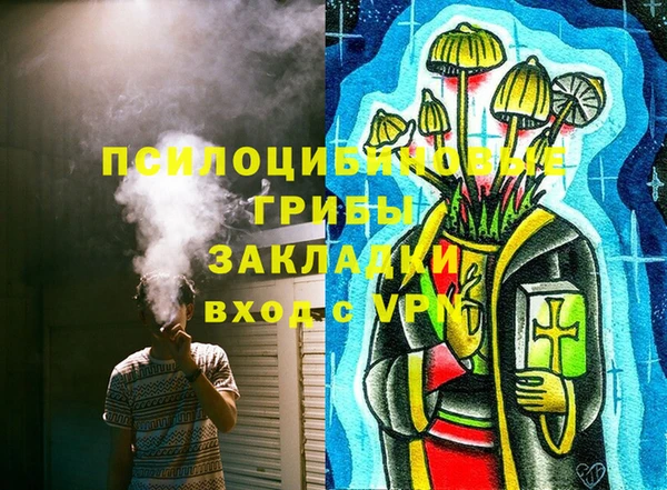 прущие грибы Карпинск