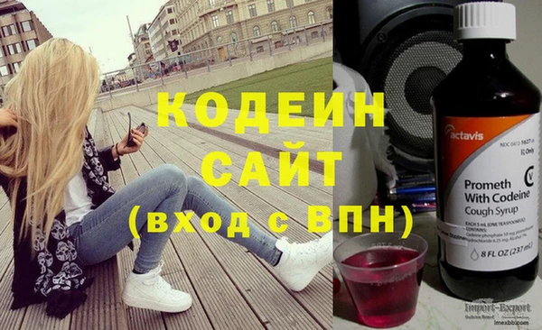 дурь Каменка