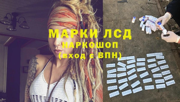 дурь Каменка