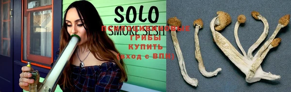 гидропоника Каменногорск