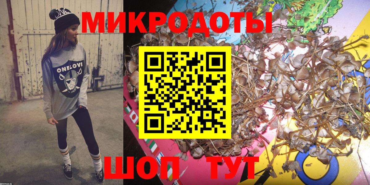 Псилоцибиновые грибы мицелий  Псилоцибиновые грибы Psilocybine cubensis  где купить наркоту  Гагарин 