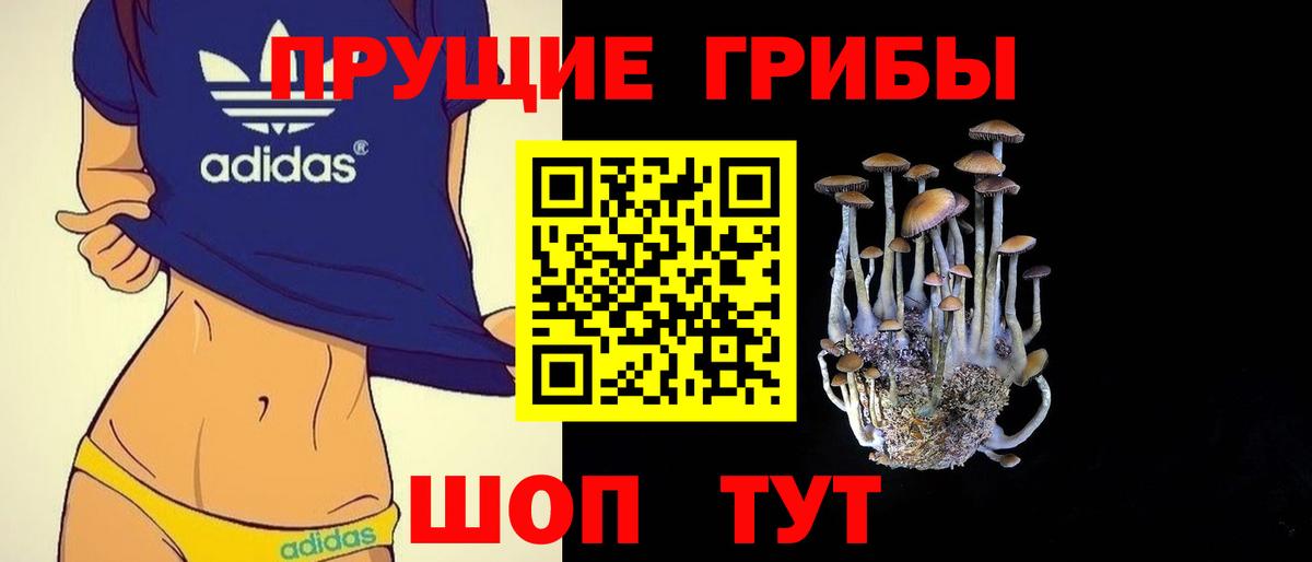 Псилоцибиновые грибы мицелий Гагарин