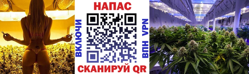 Конопля AK-47  купить наркотики цена  Гагарин 