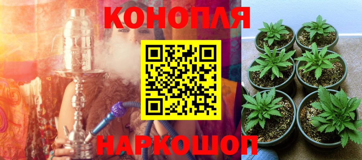 Конопля план  Шишки марихуана Amnesia  Марихуана Bruce Banner  МАРИХУАНА сатива  Гагарин 